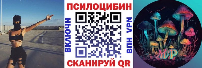 где найти   Курчалой  Псилоцибиновые грибы мухоморы 