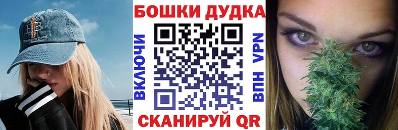 где найти   Курчалой  МАРИХУАНА ГИДРОПОН 
